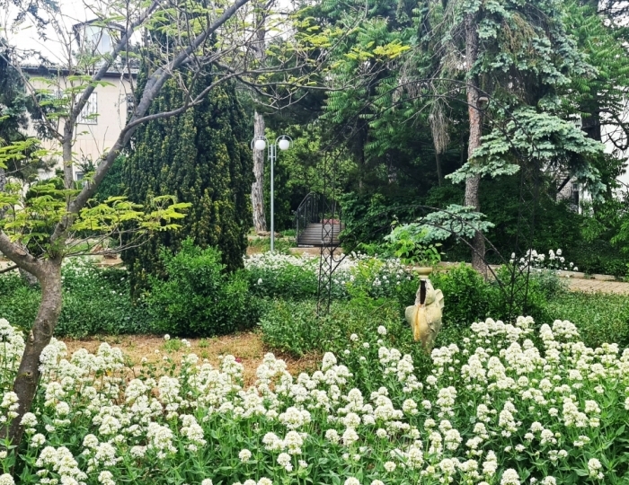 Санаторий «Мечта» Евпатория