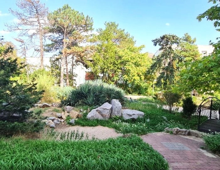 Санаторий «Мечта» Евпатория